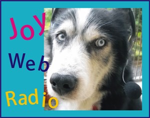 Joy Web Radio