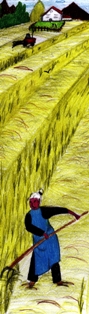 ::: CLICCA PER INGRANDIRE :::